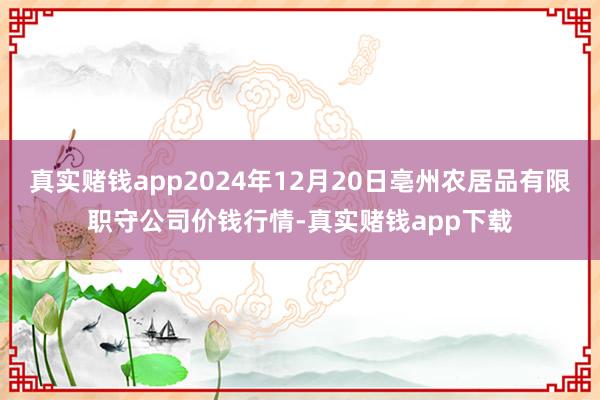 真实赌钱app2024年12月20日亳州农居品有限职守公司价钱行情-真实赌钱app下载