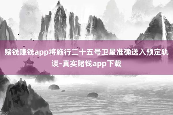 赌钱赚钱app将施行二十五号卫星准确送入预定轨谈-真实赌钱app下载
