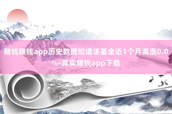 赌钱赚钱app历史数据知道该基金近1个月高涨0.0%-真实赌钱app下载