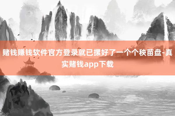 赌钱赚钱软件官方登录就已摞好了一个个秧苗盘-真实赌钱app下载