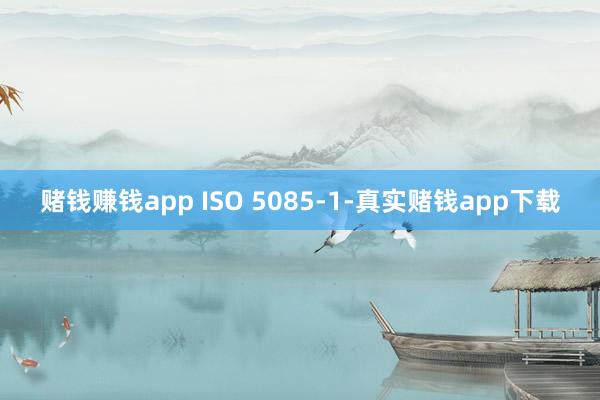 赌钱赚钱app ISO 5085-1-真实赌钱app下载