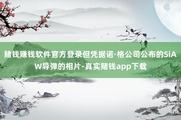 赌钱赚钱软件官方登录但凭据诺·格公司公布的SiAW导弹的相片-真实赌钱app下载