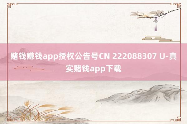 赌钱赚钱app授权公告号CN 222088307 U-真实赌钱app下载