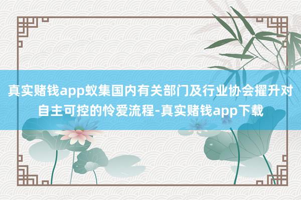 真实赌钱app蚁集国内有关部门及行业协会擢升对自主可控的怜爱流程-真实赌钱app下载