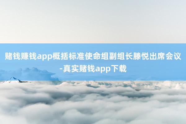 赌钱赚钱app概括标准使命组副组长滕悦出席会议-真实赌钱app下载