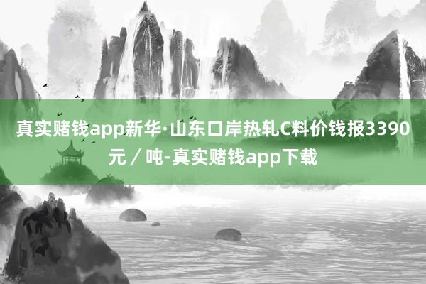 真实赌钱app新华·山东口岸热轧C料价钱报3390元／吨-真实赌钱app下载