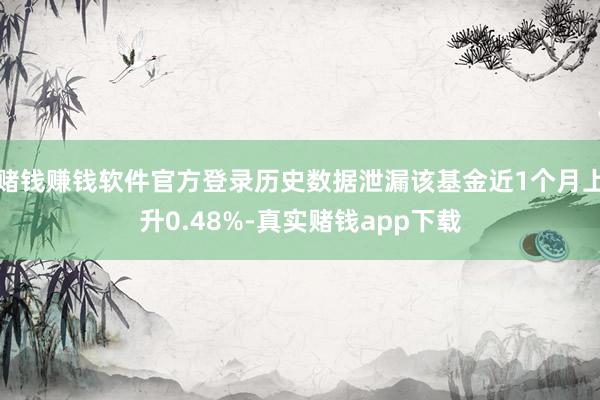 赌钱赚钱软件官方登录历史数据泄漏该基金近1个月上升0.48%-真实赌钱app下载