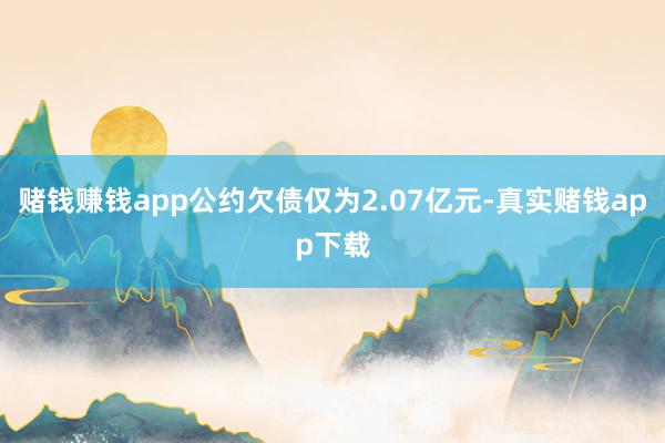赌钱赚钱app公约欠债仅为2.07亿元-真实赌钱app下载