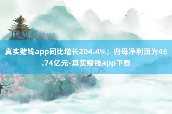 真实赌钱app同比增长204.4%；归母净利润为45.74亿元-真实赌钱app下载