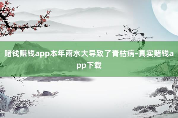 赌钱赚钱app本年雨水大导致了青枯病-真实赌钱app下载
