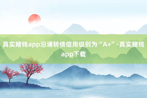 真实赌钱app沿浦转债信用级别为“A+”-真实赌钱app下载