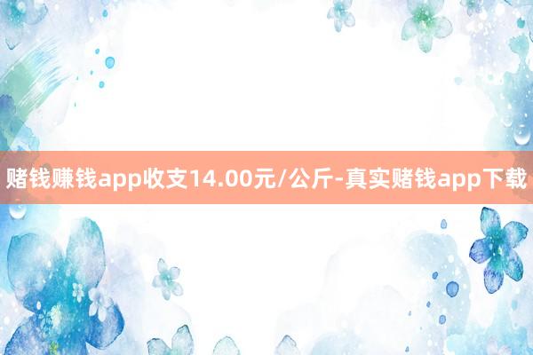 赌钱赚钱app收支14.00元/公斤-真实赌钱app下载