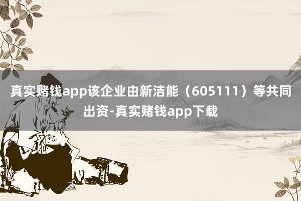 真实赌钱app该企业由新洁能（605111）等共同出资-真实赌钱app下载
