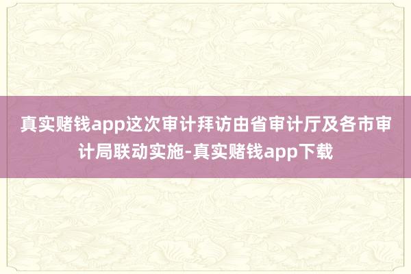 真实赌钱app　　这次审计拜访由省审计厅及各市审计局联动实施-真实赌钱app下载